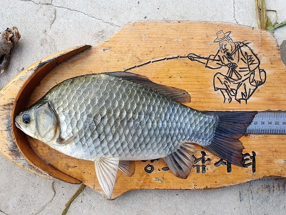 KakaoTalk_20190828_112913480.jpg