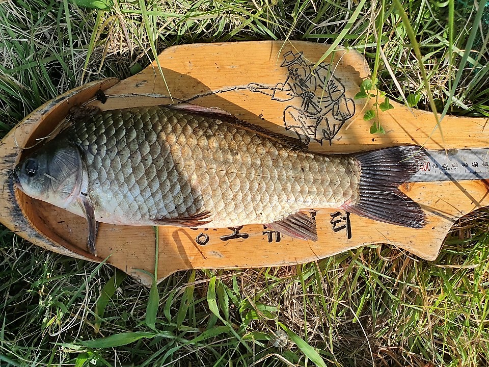 KakaoTalk_20190828_112914547.jpg