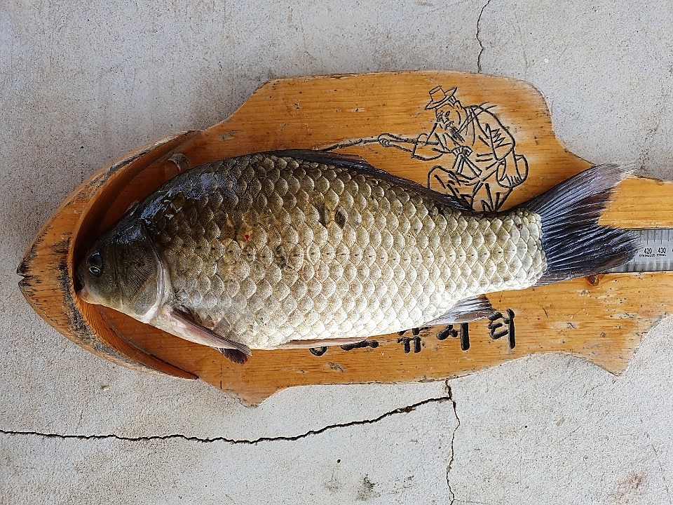 KakaoTalk_20190828_112915454.jpg