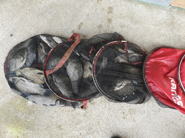 20190829_072854.jpg