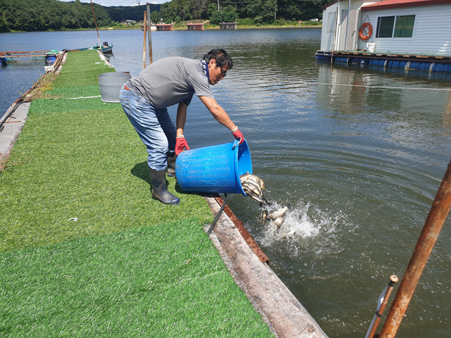 20190830_114540.jpg