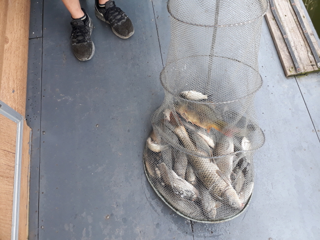 9월1일-20190902_093113.jpg