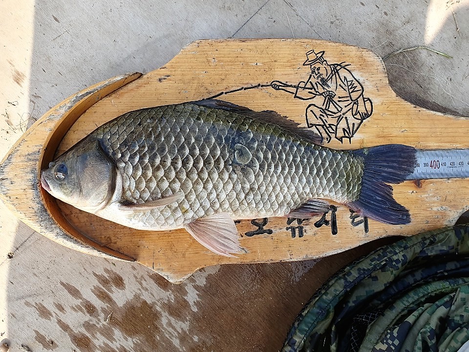 KakaoTalk_20190901_210831996.jpg