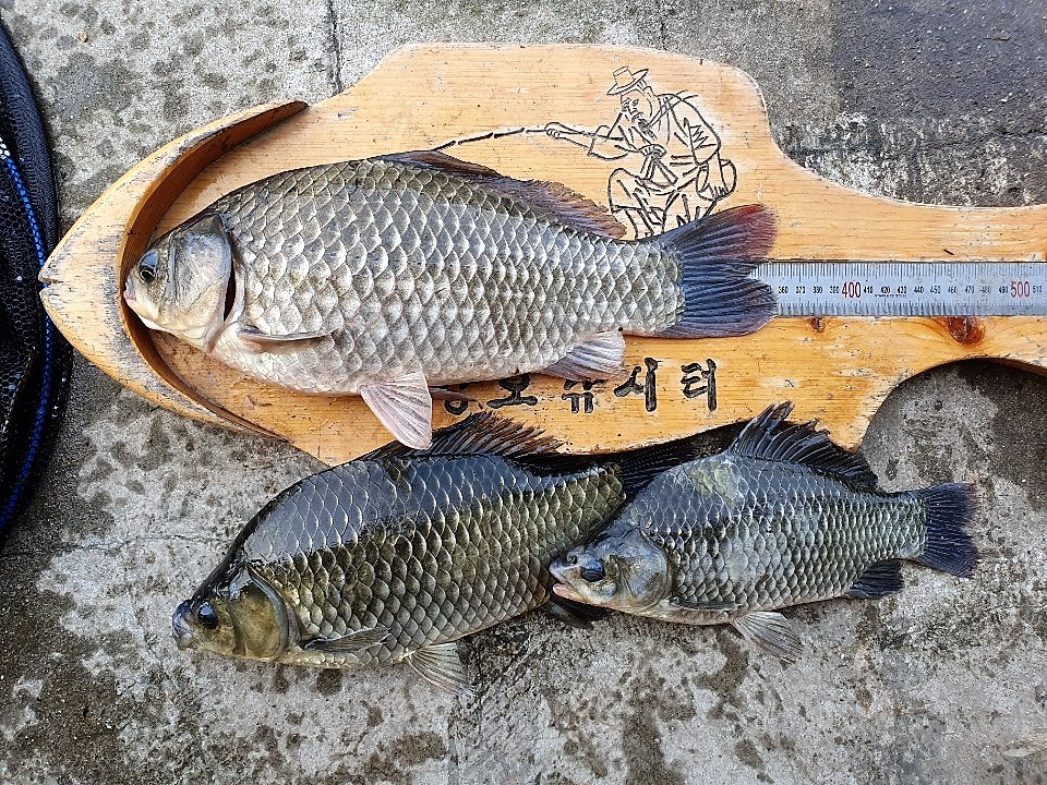 KakaoTalk_20190901_210832671.jpg