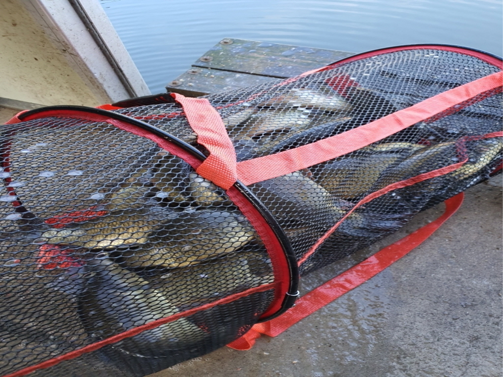 Resized_Resized_20190915_094618.jpeg