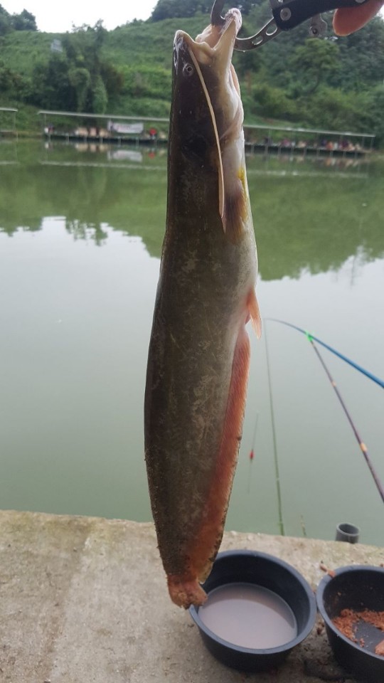 KakaoTalk_20190915_124450960.jpg