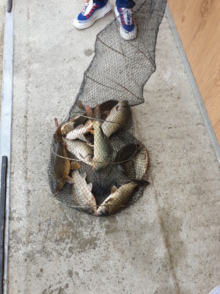 KakaoTalk_20190915_124453615.jpg
