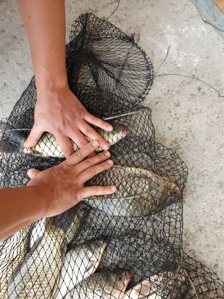 KakaoTalk_20190915_124451798.jpg