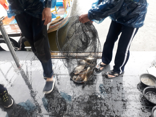 새 폴더 (2)-20190922_095950.jpg