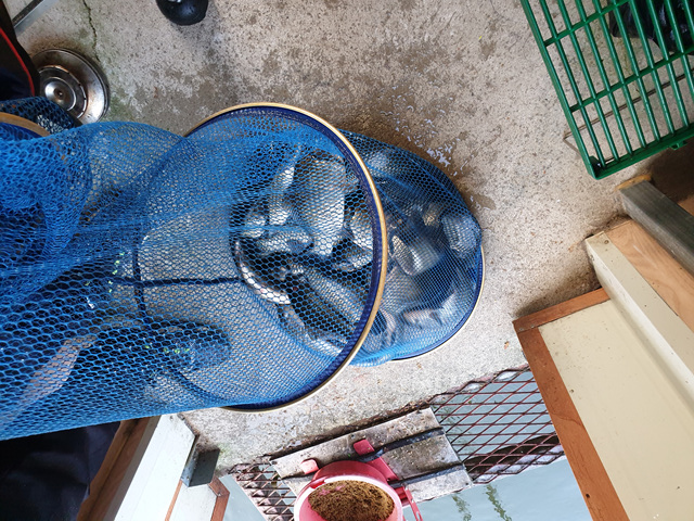 20190928_074306.jpg