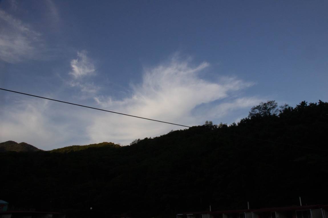 IMG_7515.jpg