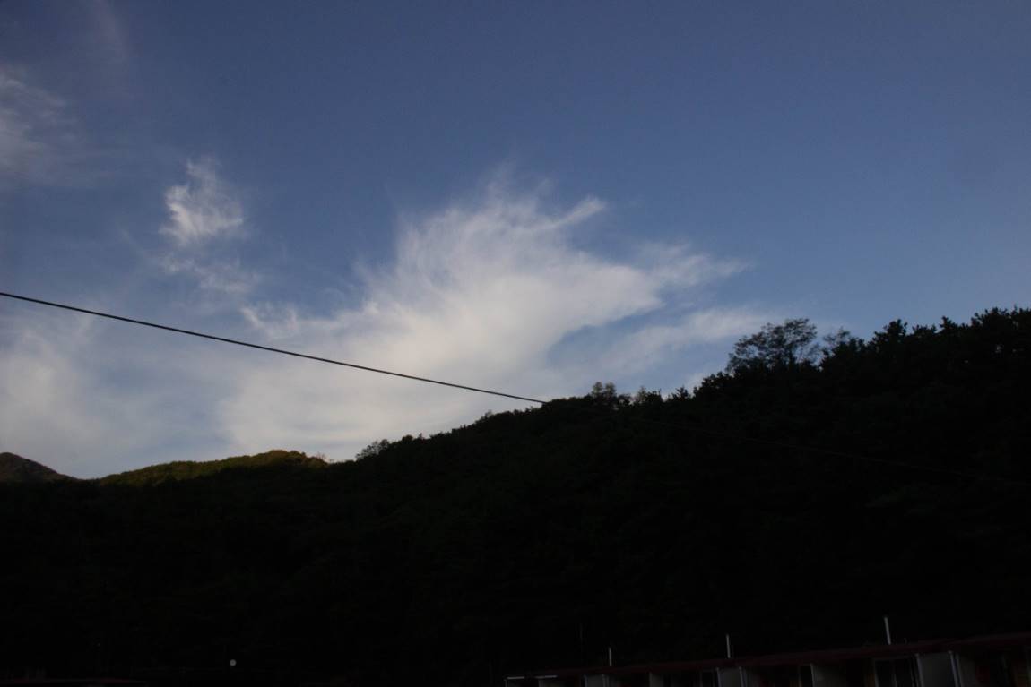 IMG_7516.jpg