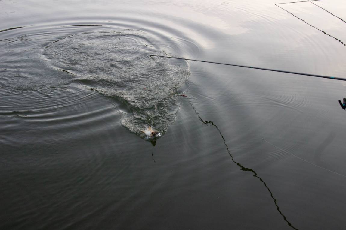IMG_7553.jpg
