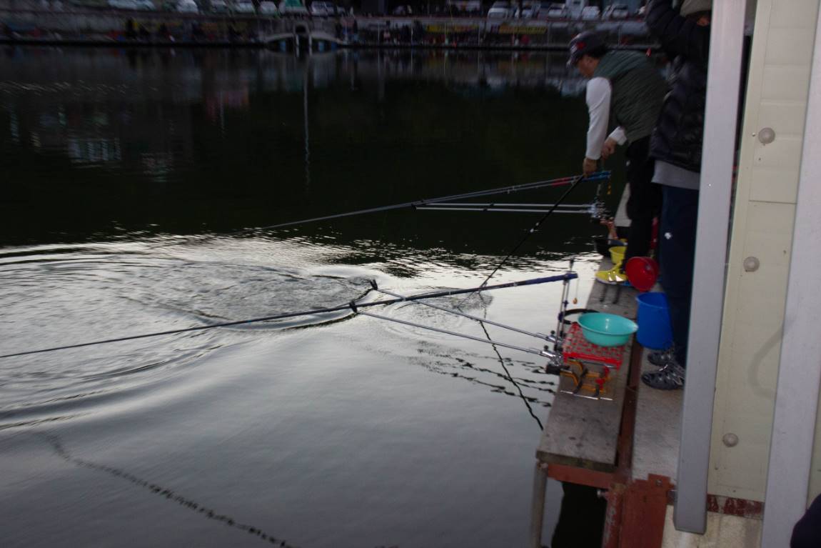 IMG_7568.jpg