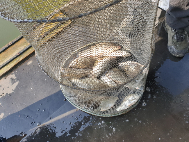 새 폴더-20191020_095445.jpg