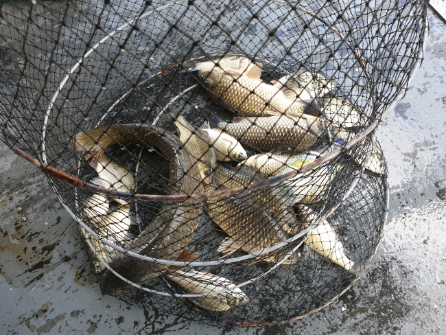 새 폴더-20191020_113412.jpg