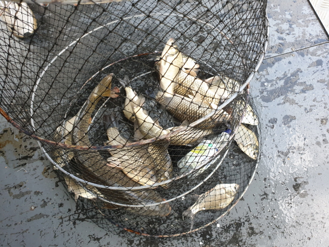 새 폴더-20191020_113403.jpg