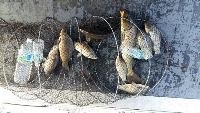 새 폴더-20191021_093912.jpg