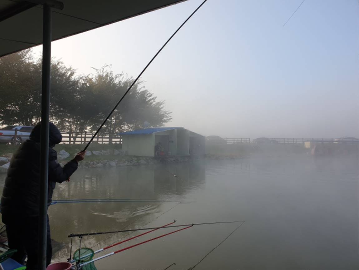 20191027_074149.jpg