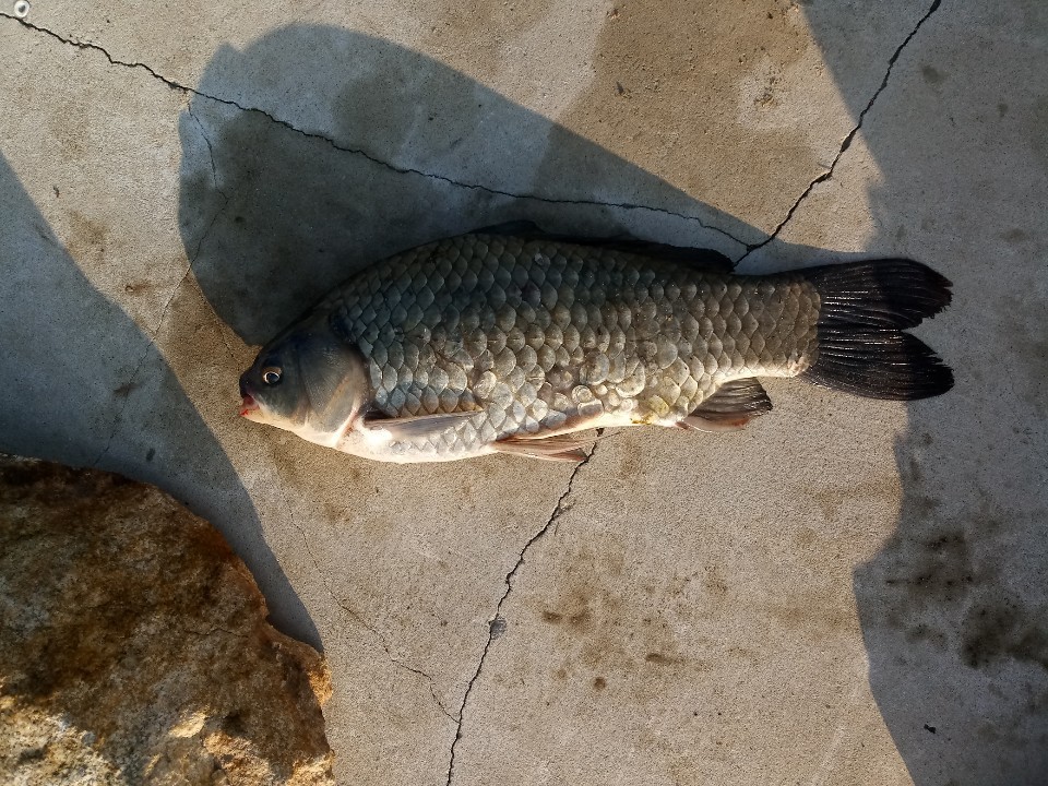 KakaoTalk_20191028_120639868.jpg