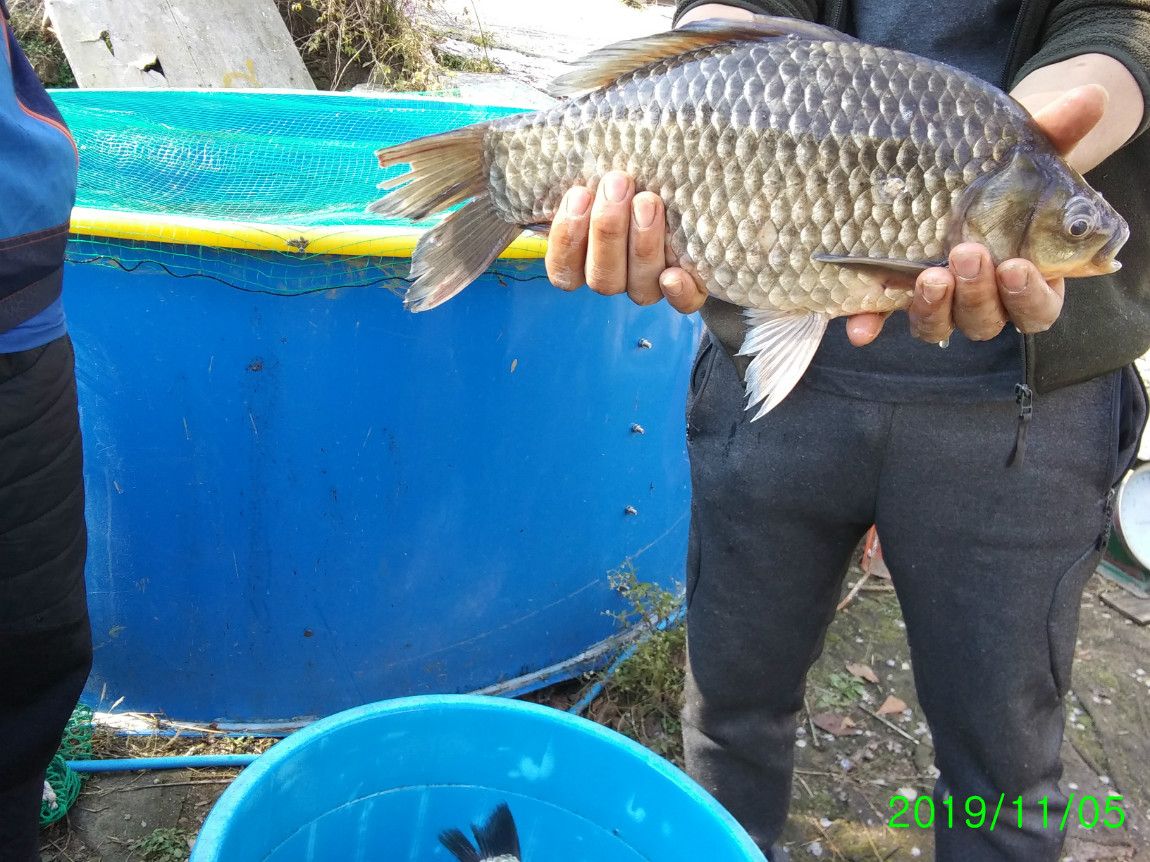 ²Ù¹Ì±â_20191105_123938.jpg