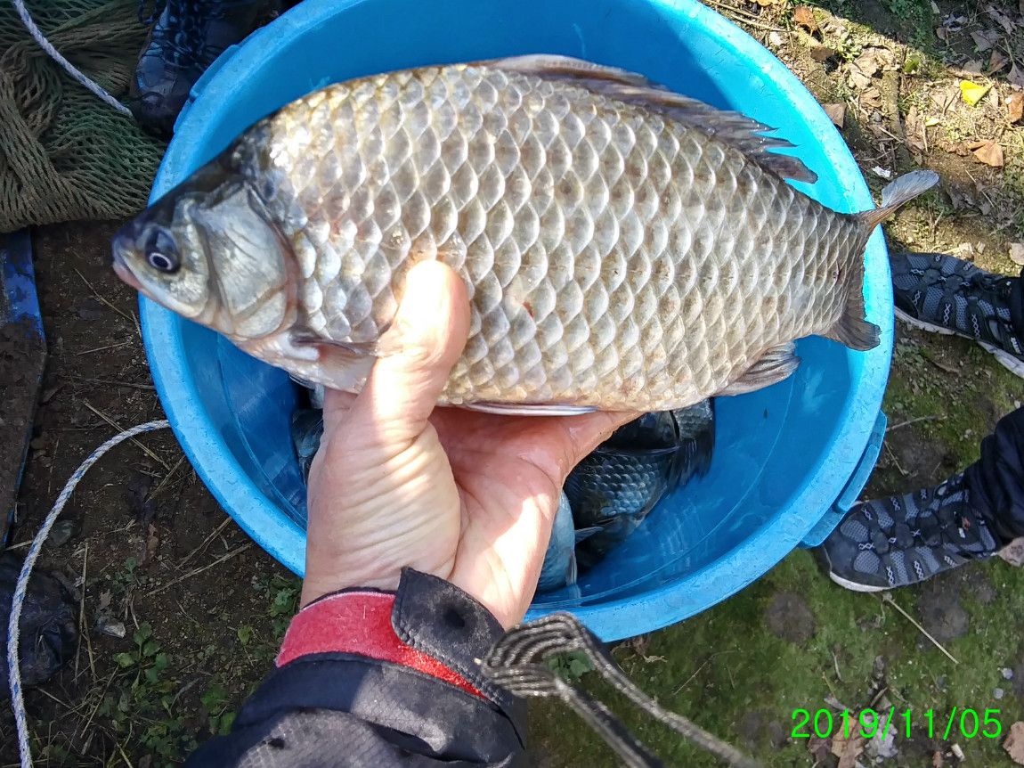 ²Ù¹Ì±â_20191105_124135_HDR.jpg