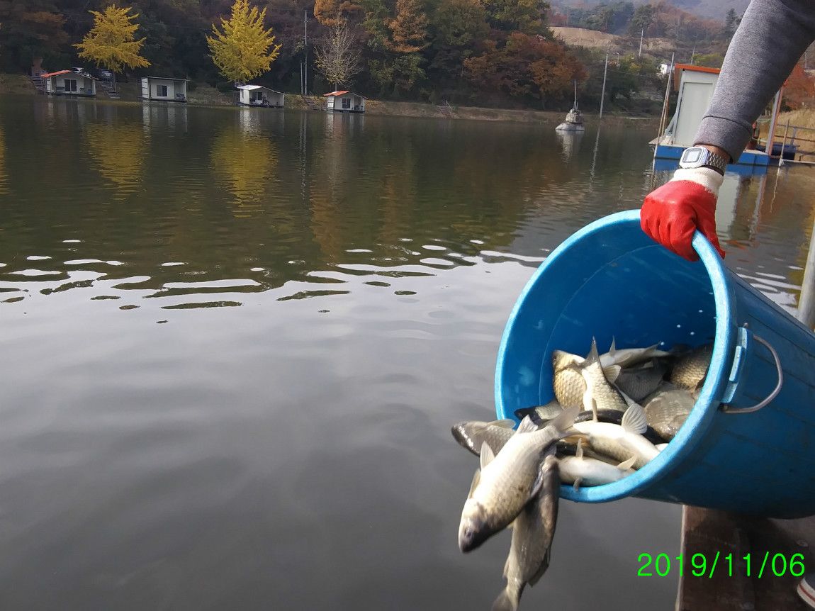 ²Ù¹Ì±â_20191106_140739.jpg