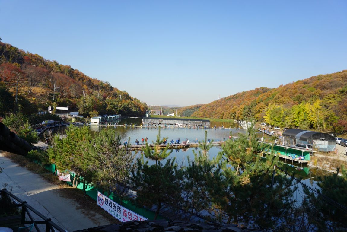 DSC03356.JPG