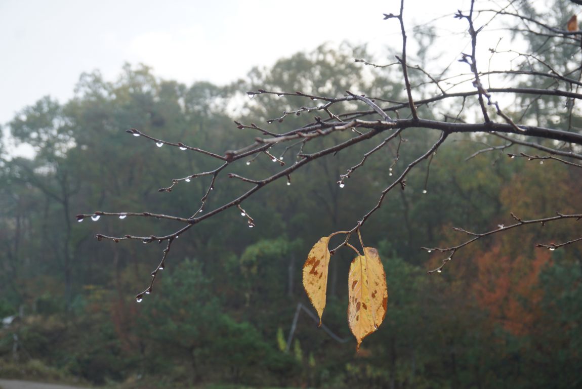 DSC03322.JPG