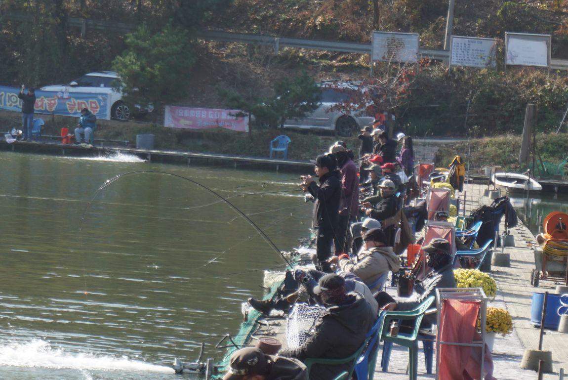 DSC03450.JPG