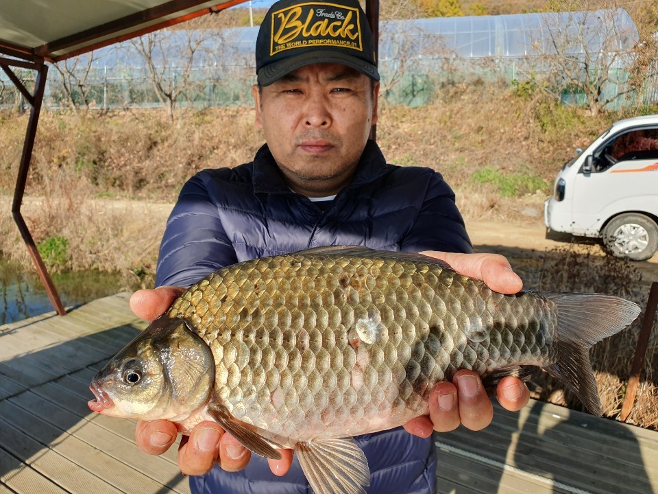 KakaoTalk_20191111_102848091.jpg