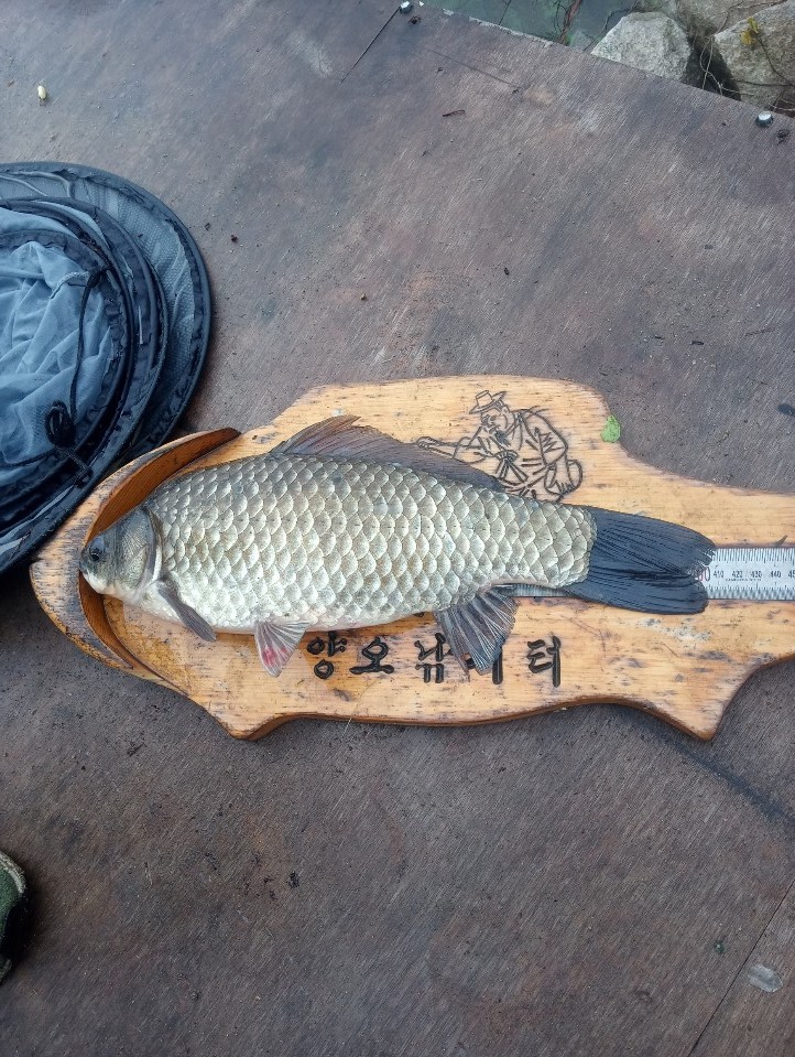 KakaoTalk_20191116_130723783.jpg