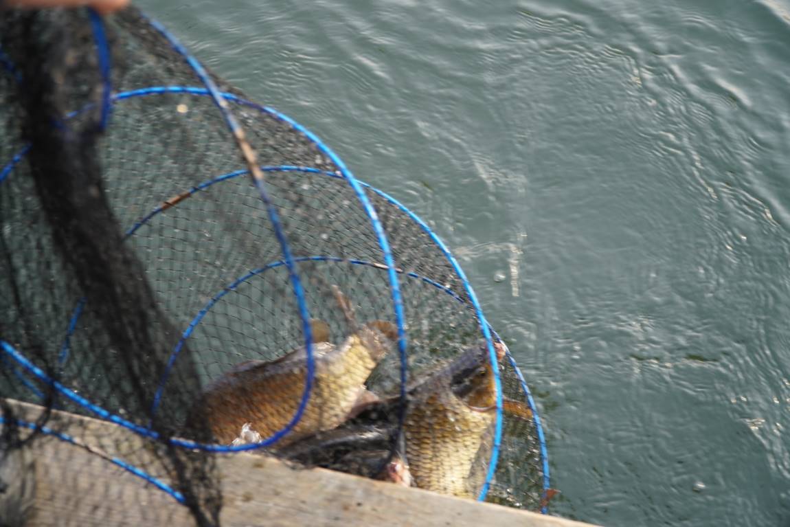 DSC00025.JPG