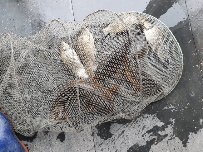 1월5일-20191229_123410.jpg