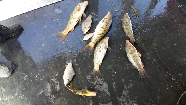 새 폴더-20160310_114151.jpg