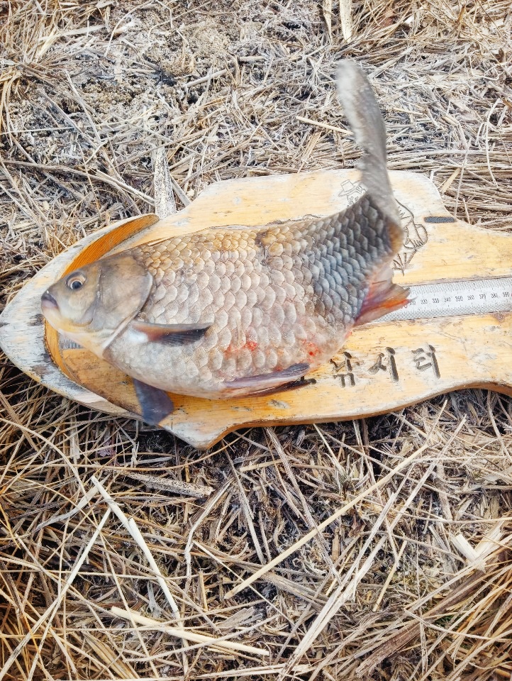 KakaoTalk_20200225_214447299.jpg