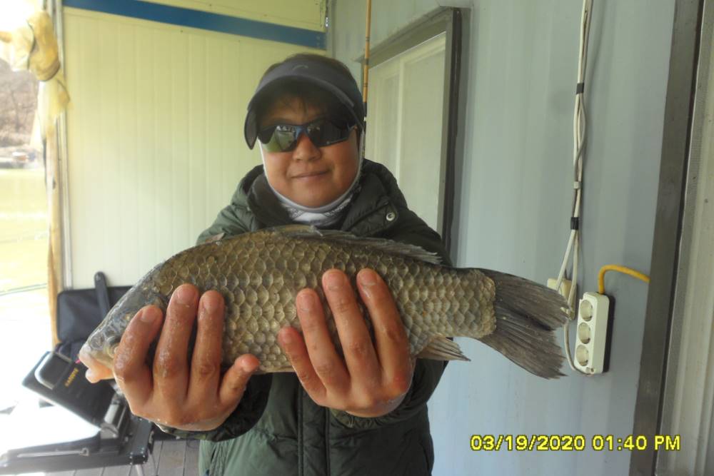 SAM_0093.JPG
