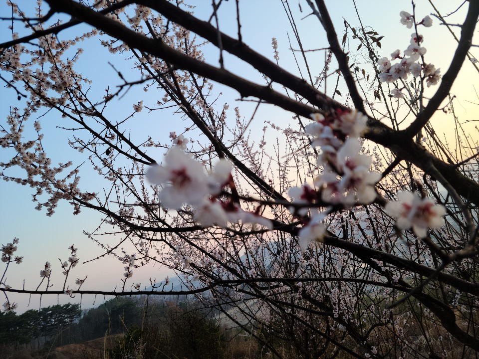 KakaoTalk_20200402_103411665 - 복사본.jpg