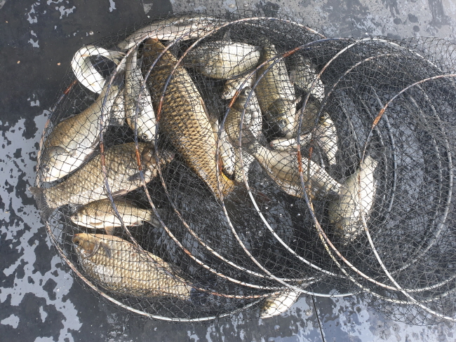 �� ���� (2)-20200420_100919.jpg