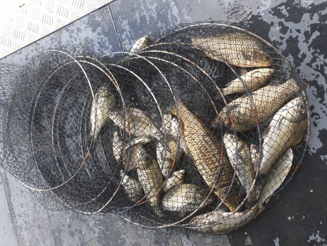 �� ���� (2)-20200420_100921.jpg