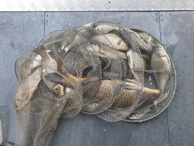 �� ���� (2)-20200421_073133.jpg