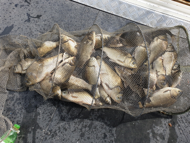 �� ���� (2)-20200421_092926.jpg