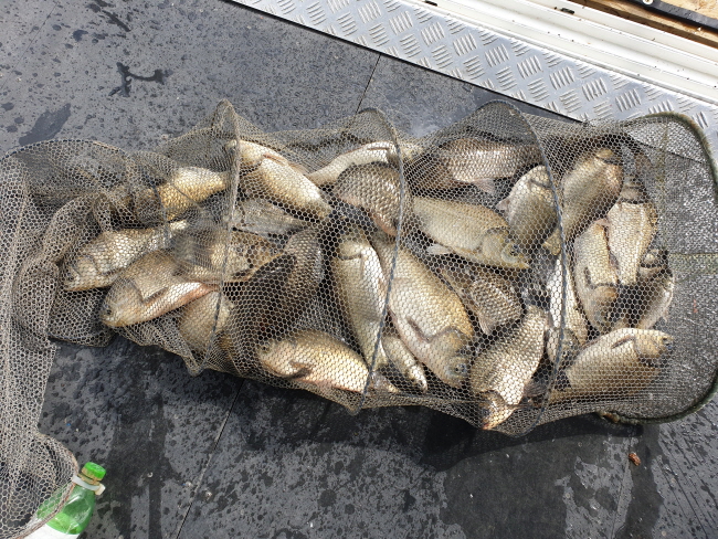 �� ���� (2)-20200421_092929.jpg