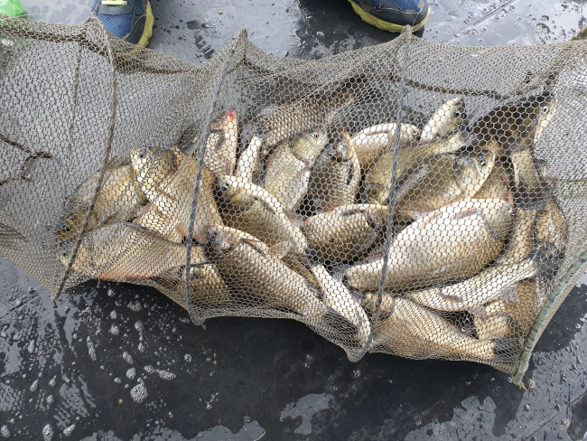 �� ���� (2)-20200421_093021.jpg