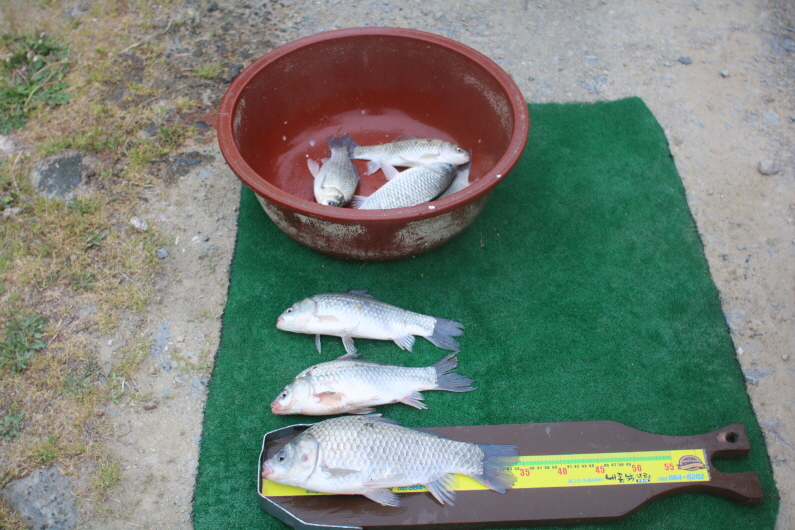 [크기변환]IMG_4499.JPG