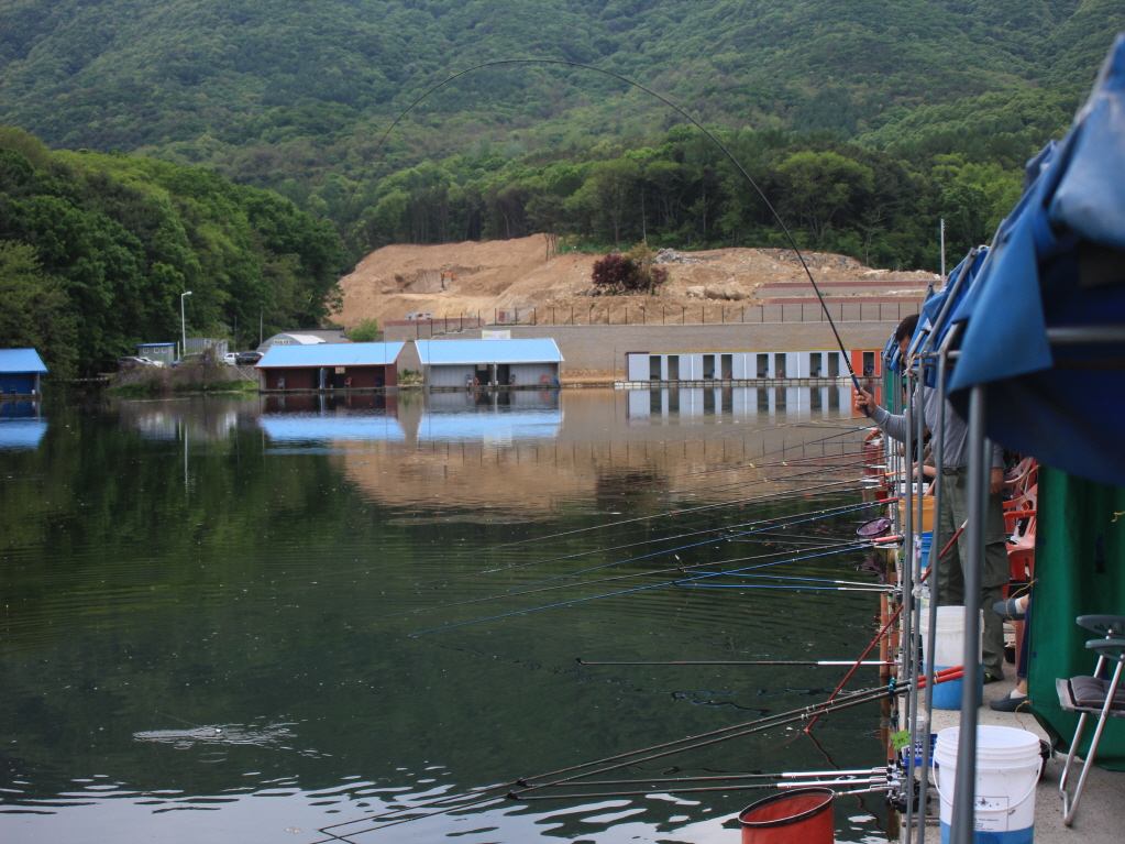 [ũ⺯ȯ]IMG_4006.JPG