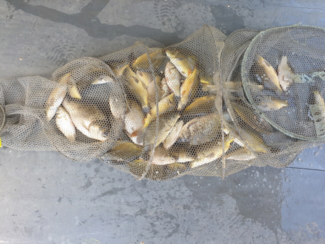 5월10일-20200508_100844.jpg
