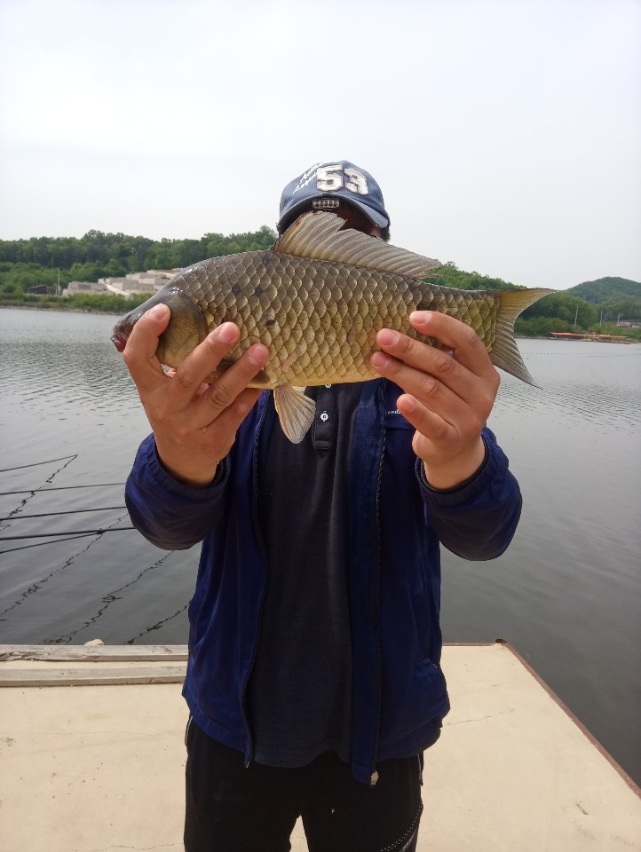 KakaoTalk_20200515_065541891.jpg