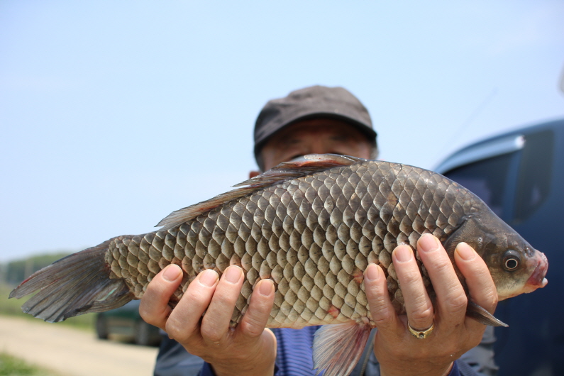 [크기변환]IMG_5428.JPG