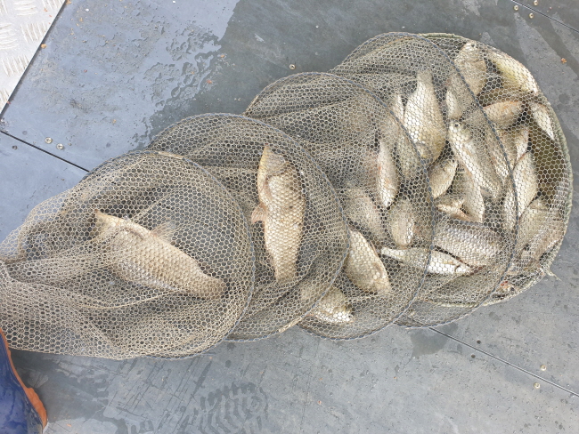 새 폴더 (2)-20200523_092139.jpg